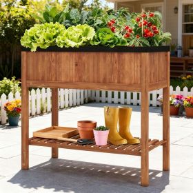 Wooden Raised Garden Bed with Storage Shelf and 220 LBS Capacity